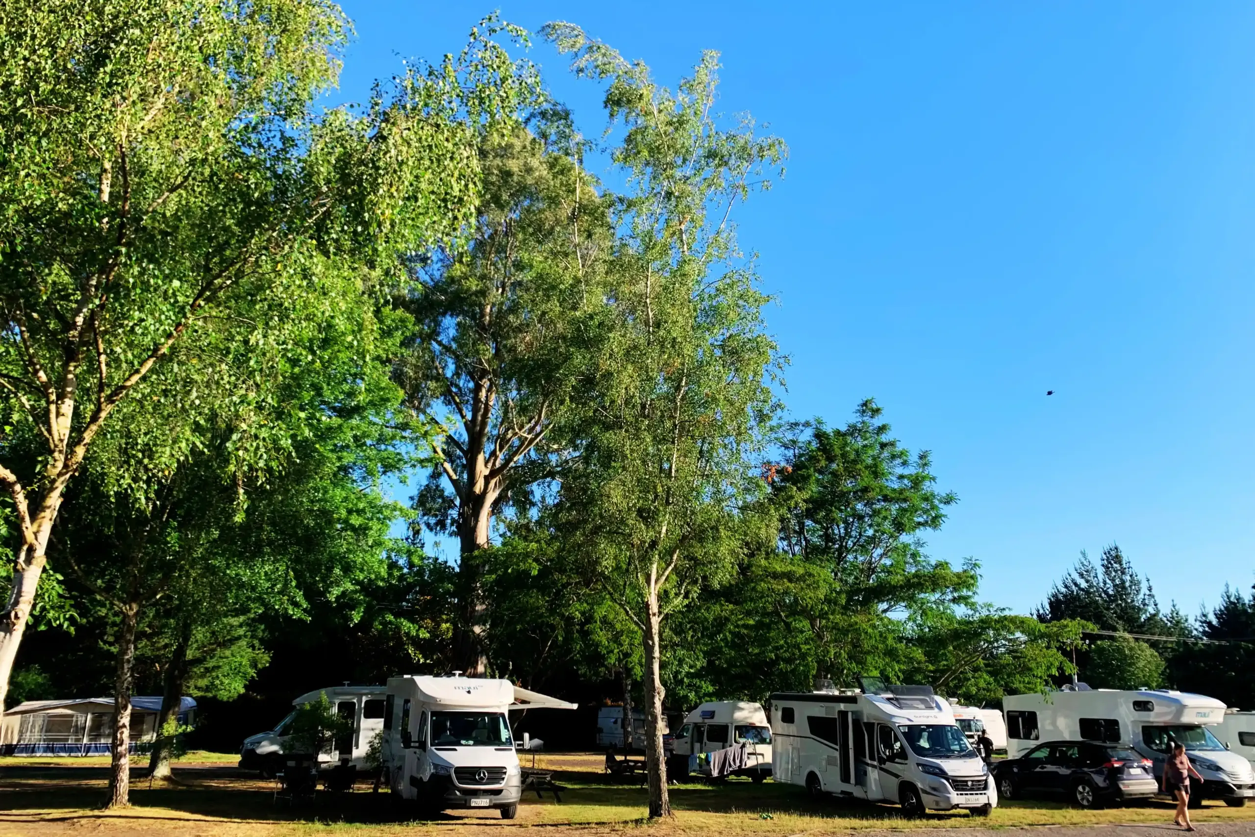 Great Lake Holiday Park Campground Powered Campsite 2 Spacious powered campsite with shade and power/water at Great Lake Holiday Park Taupo.