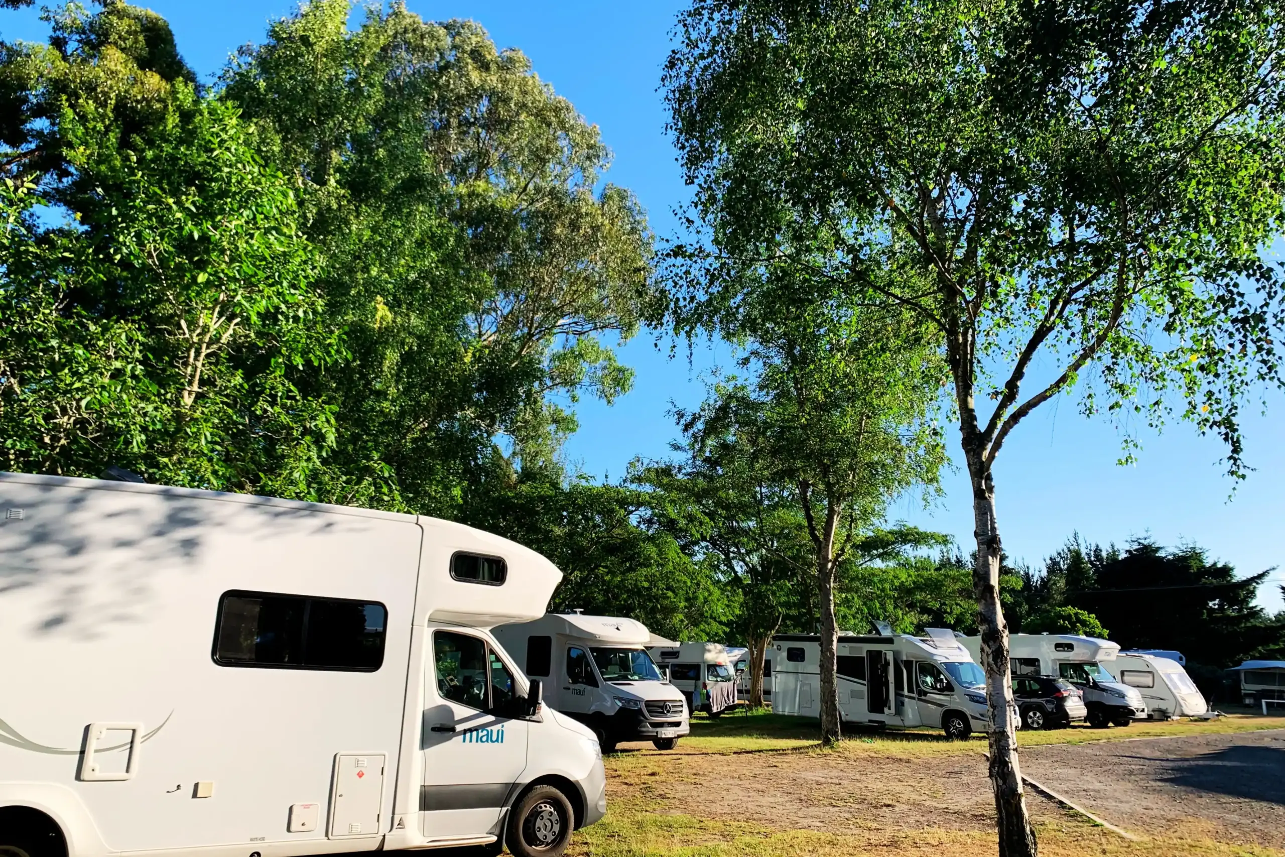 Great Lake Holiday Park Campground Powered Campsite 3 Spacious powered campsite with shade and power/water at Great Lake Holiday Park Taupo.
